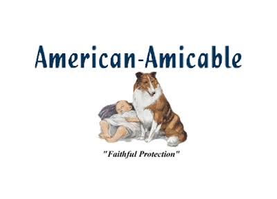 American-Amecable